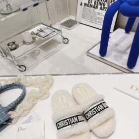 Dior Dway Slide