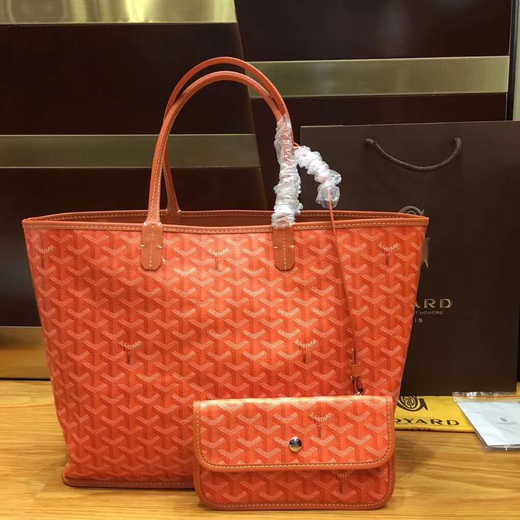 Goyard Anjou PM Orange