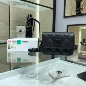 Chanel Belt Flap Card Holder
