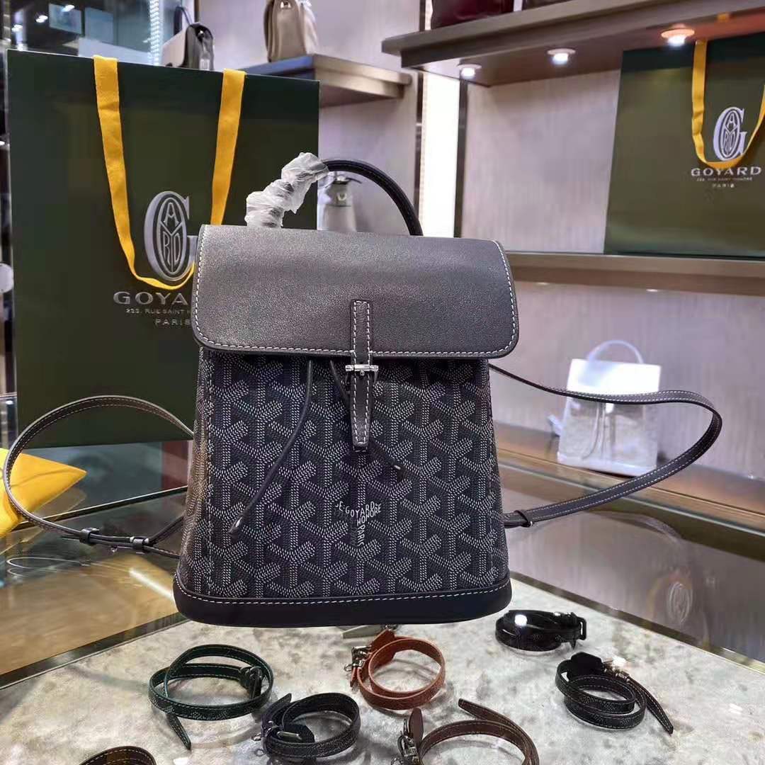 Goyard Alpin Mini Backpack Grey