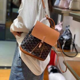 Goyard Alpin Mini Backpack Black Tan