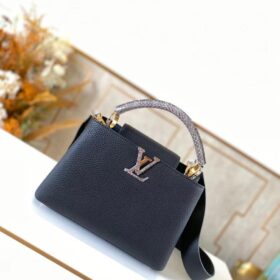 LV Capucines BB Python Handle