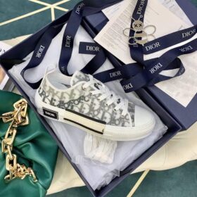 Dior B23 Low-Top Sneaker