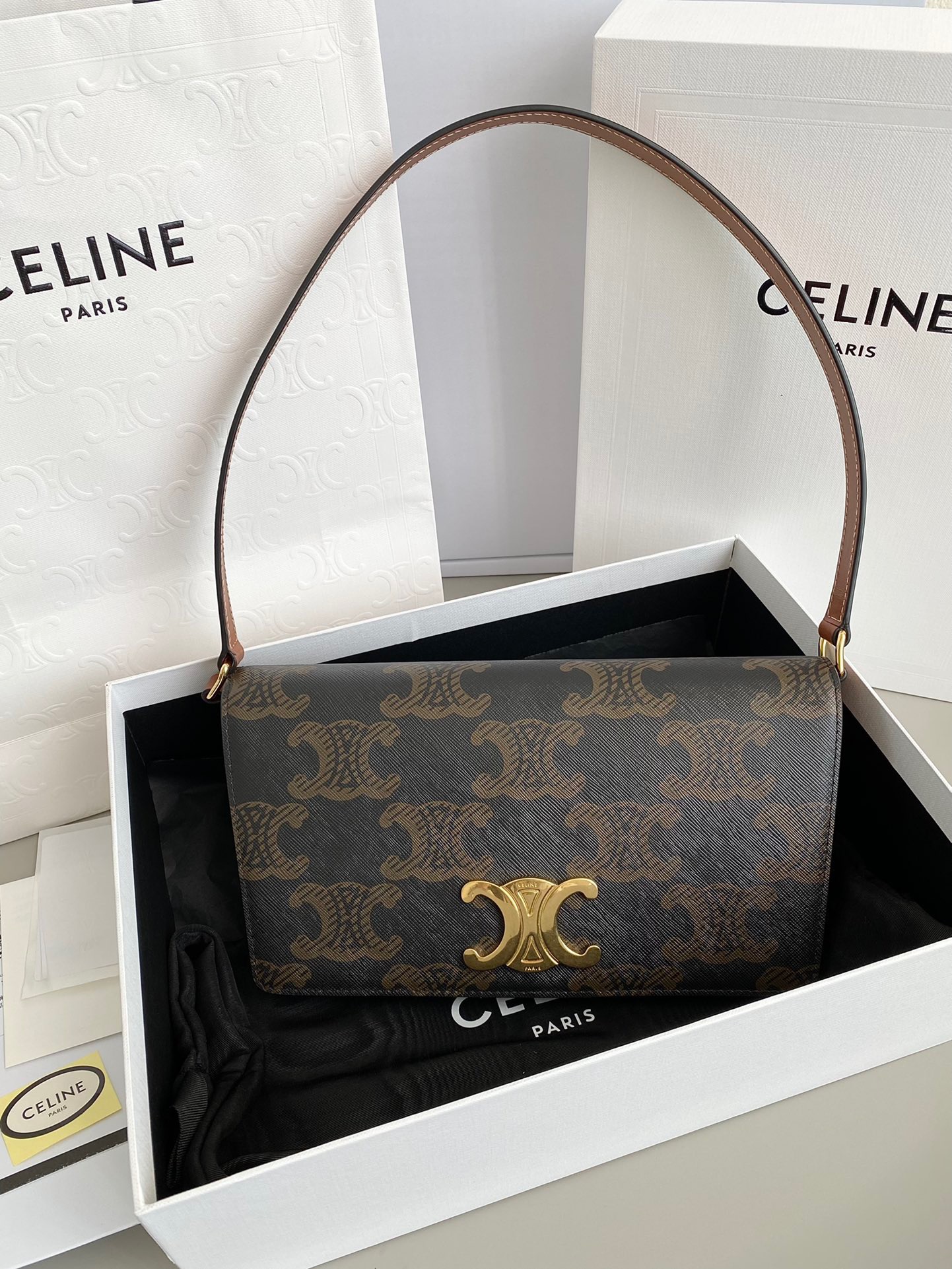Celine Trapeze Canvas Triomphe Bag