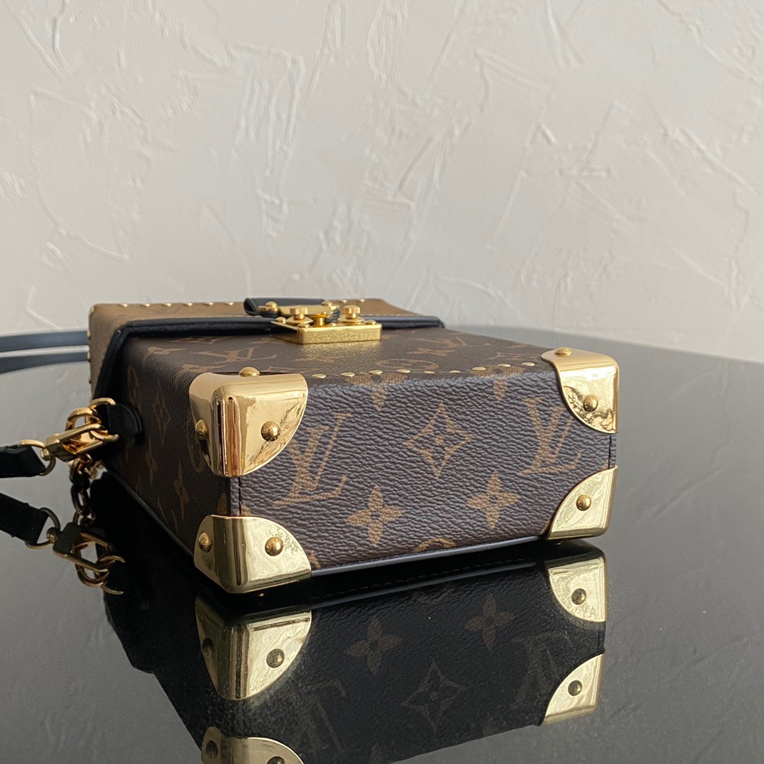 LV Mini Pochette Accessoires LV Mini Pochette Accessoires