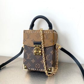 LV Mini Pochette Accessoires
