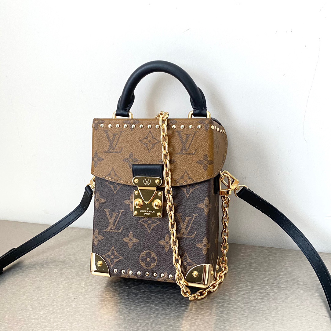 LV Mini Pochette Accessoires