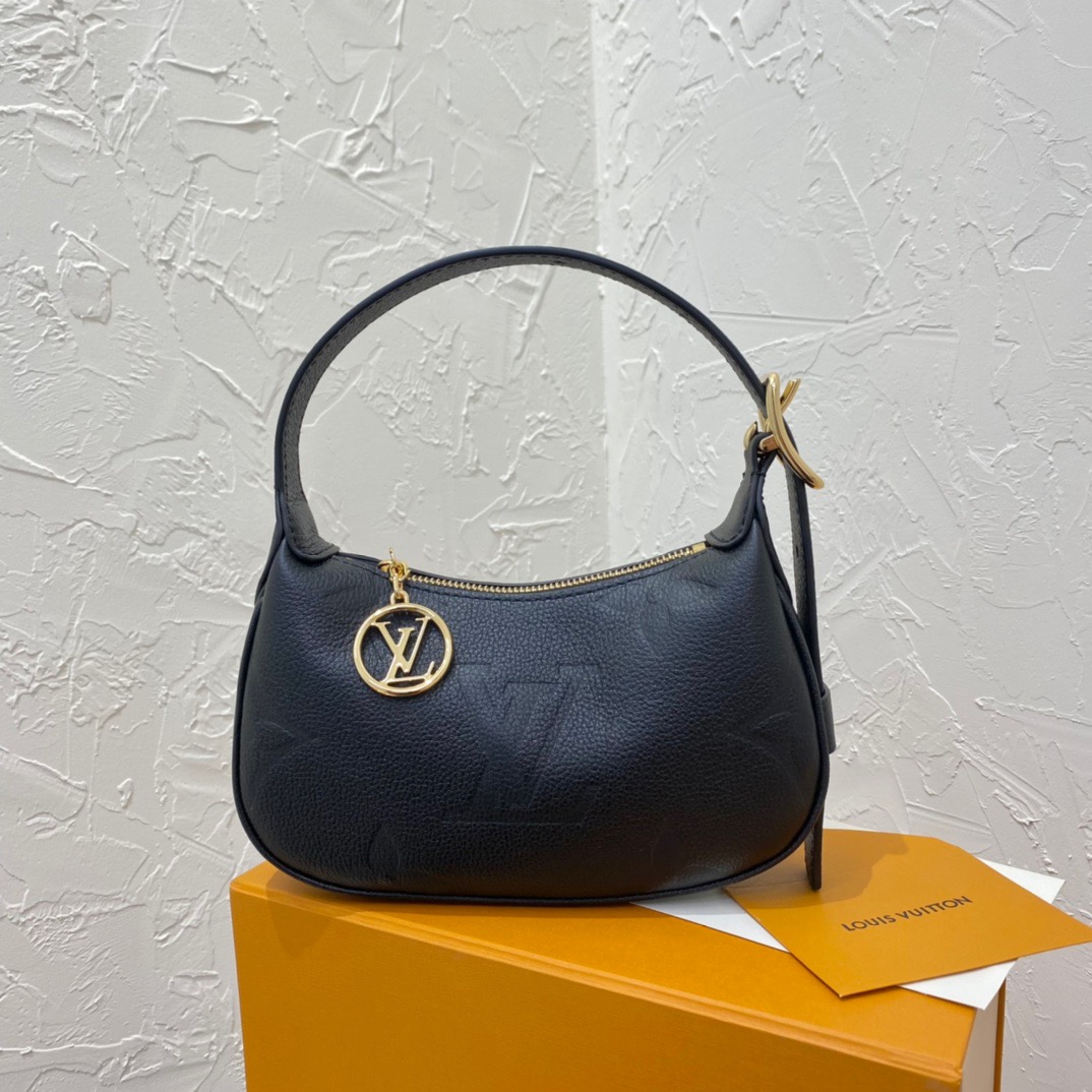 LV Mini Moon Bag