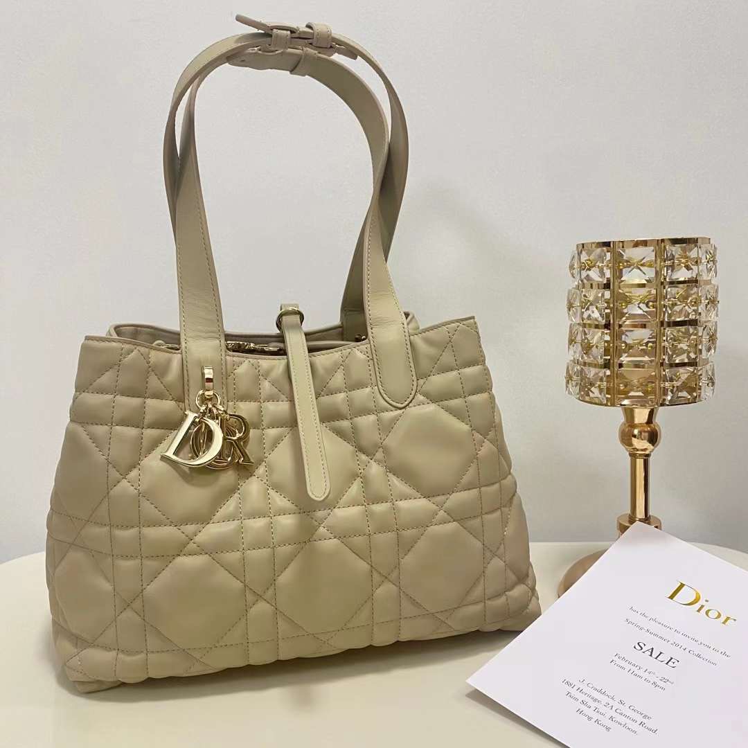 Dior Medium Toujours Bag
