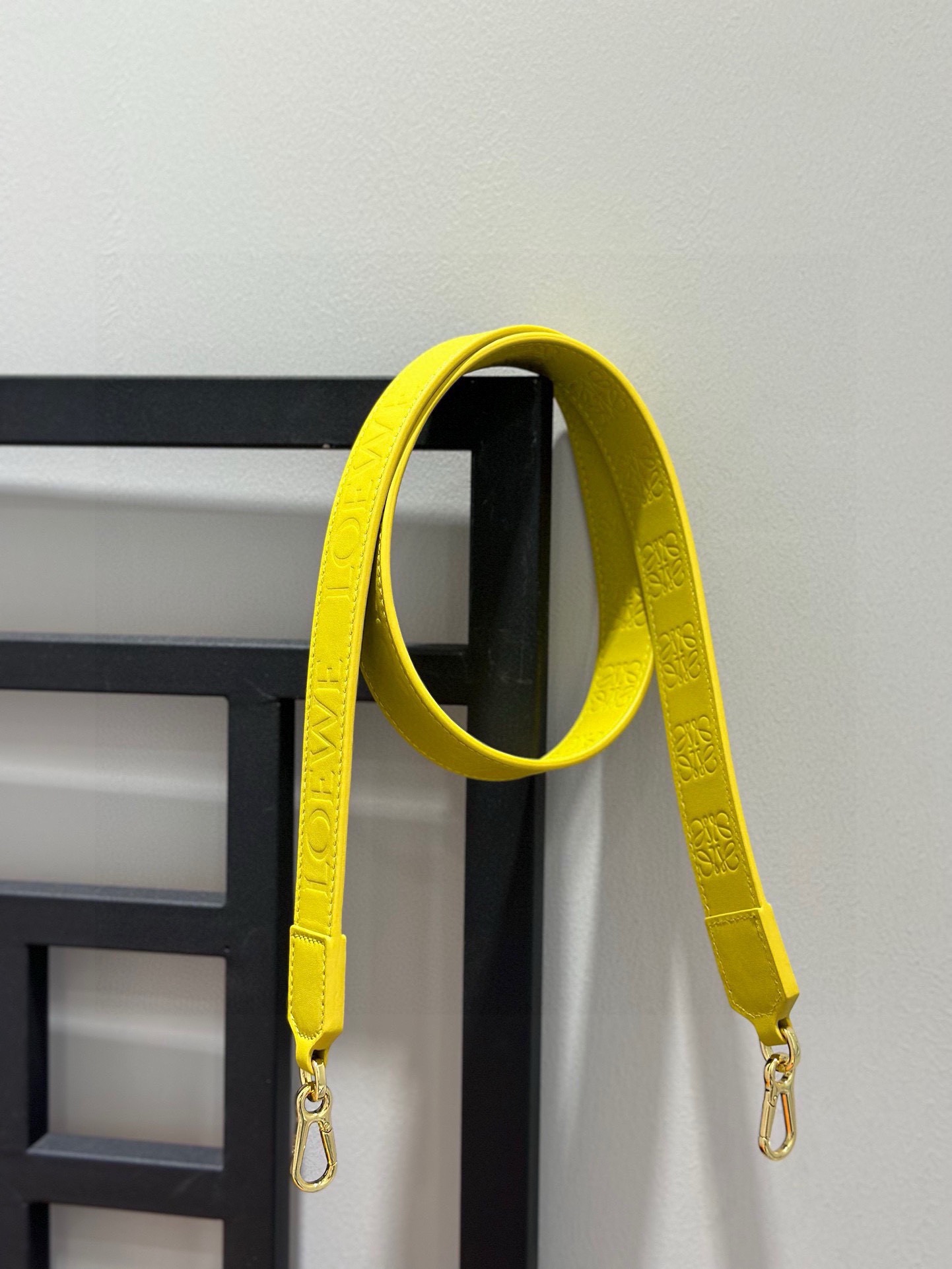 Loewe Leather Bag Strap