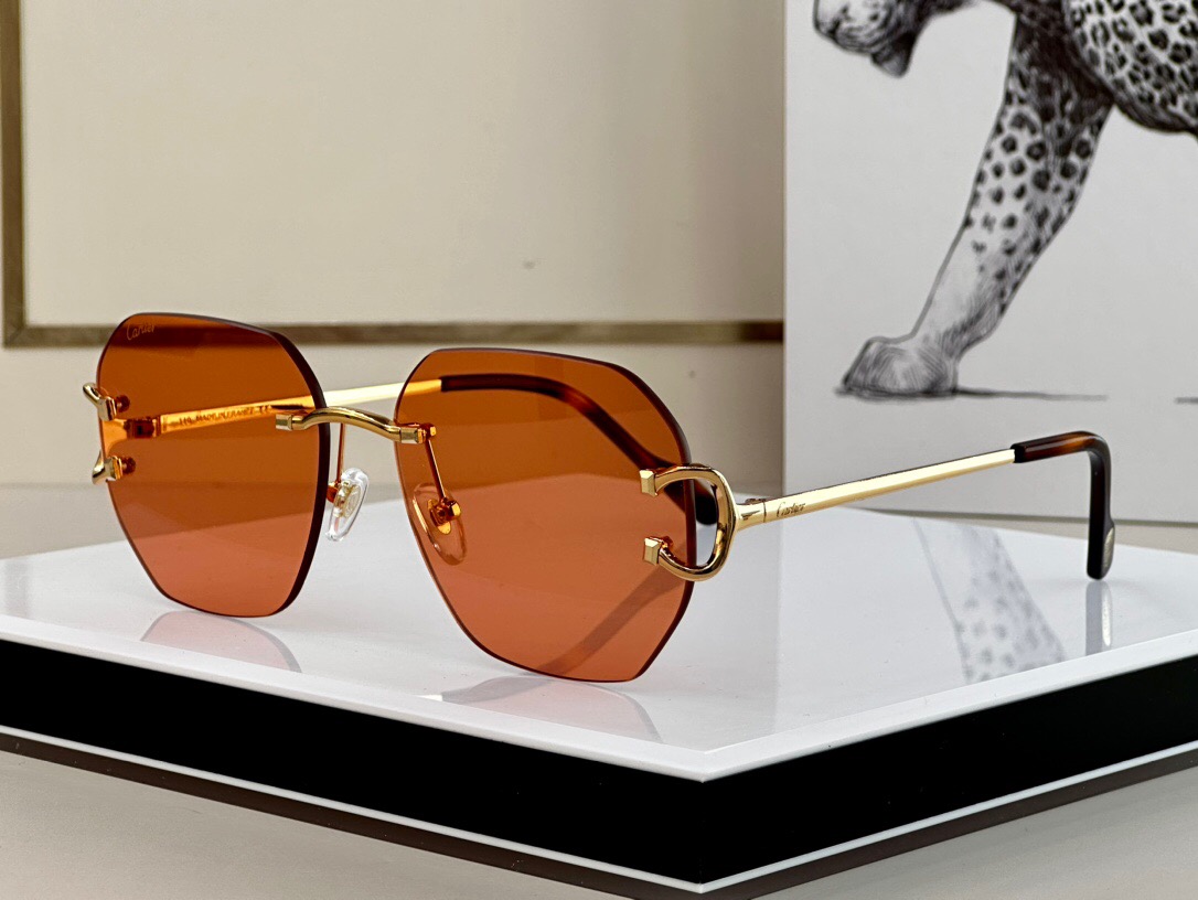Cartier Signature C De Cartier Sunglasses Cartier Signature C De Cartier Sunglasses