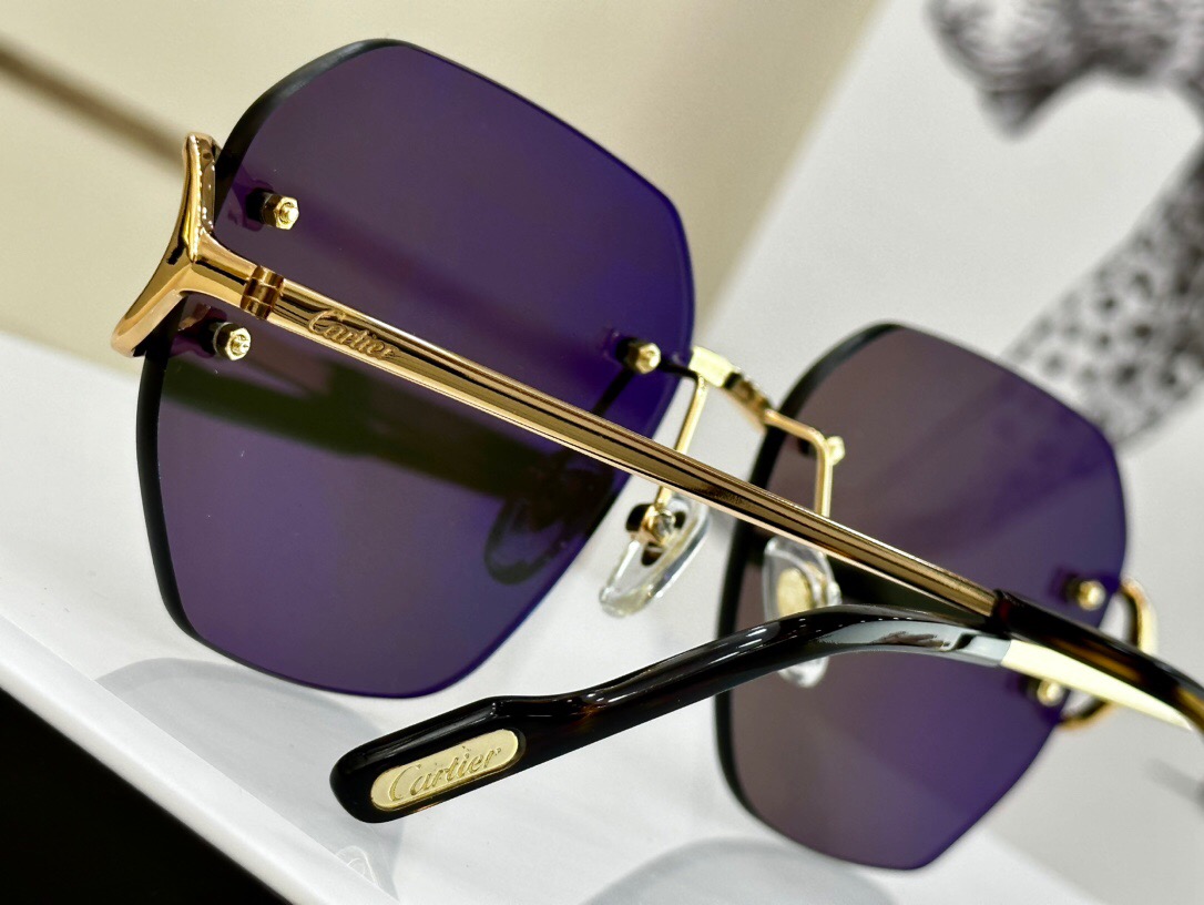 Cartier Signature C De Cartier Sunglasses Cartier Signature C De Cartier Sunglasses