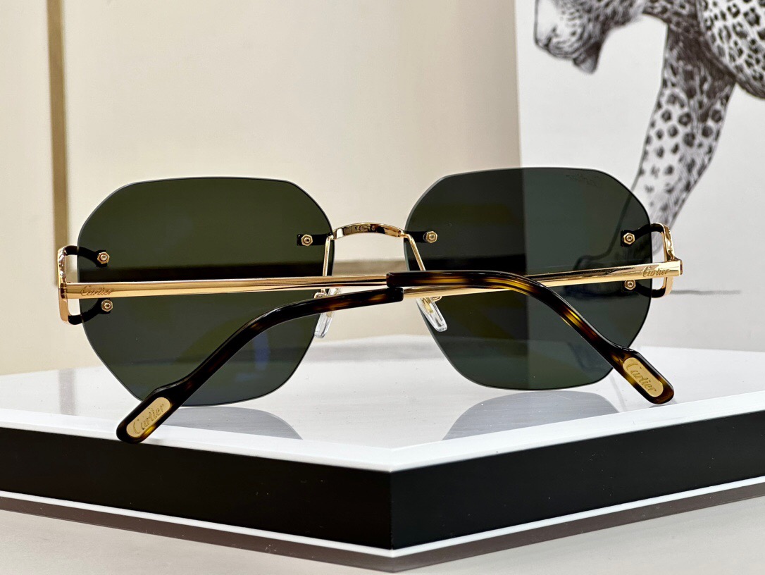 Cartier Signature C De Cartier Sunglasses Cartier Signature C De Cartier Sunglasses