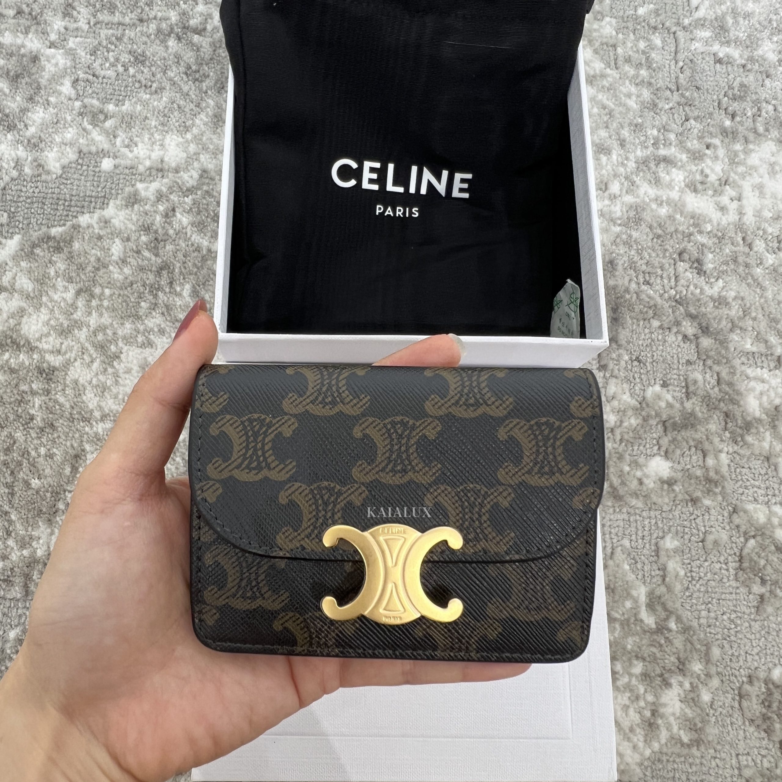 Celine Card Holder Triomphe Canvas