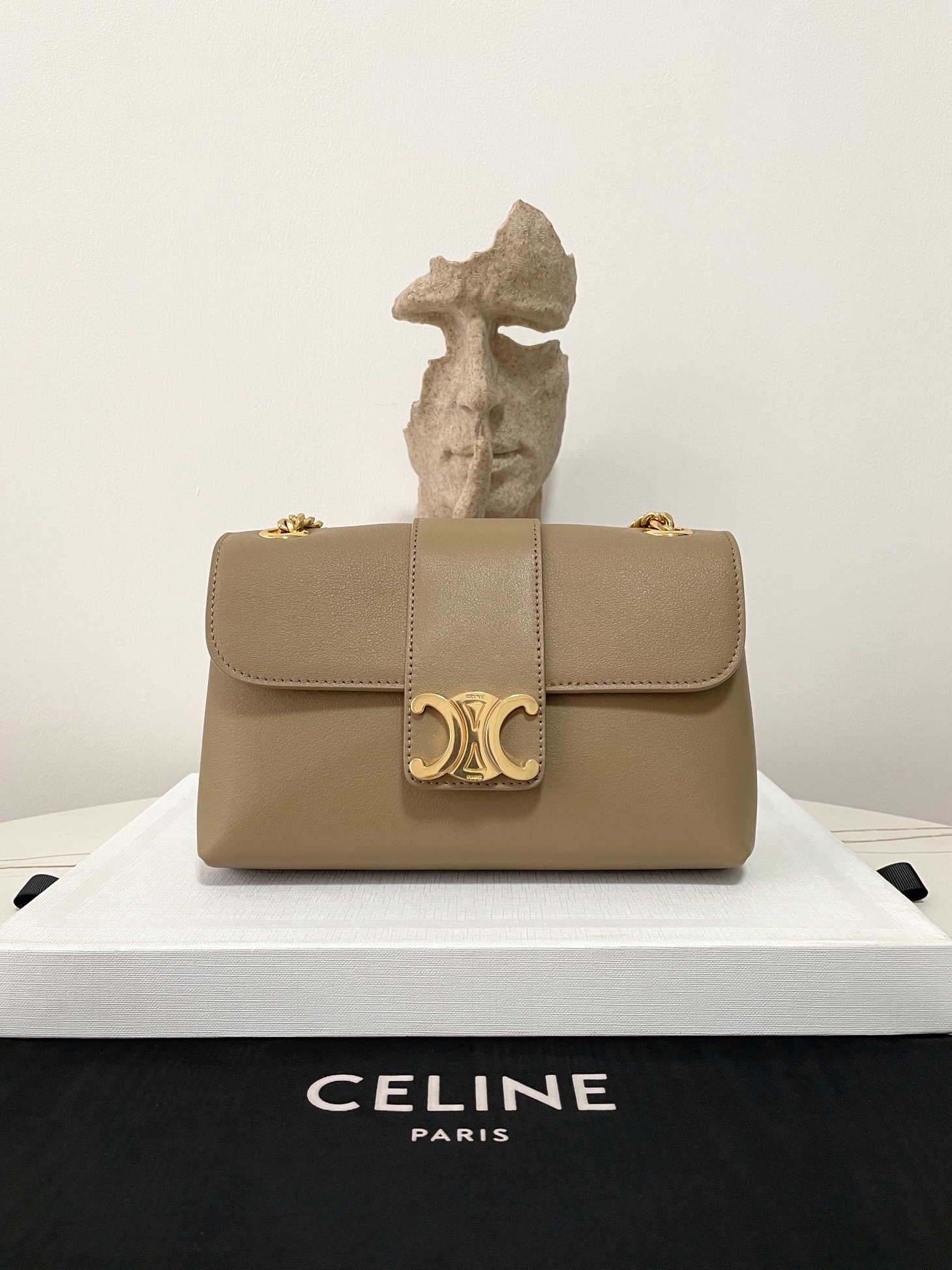 Celine Victoire Bag
