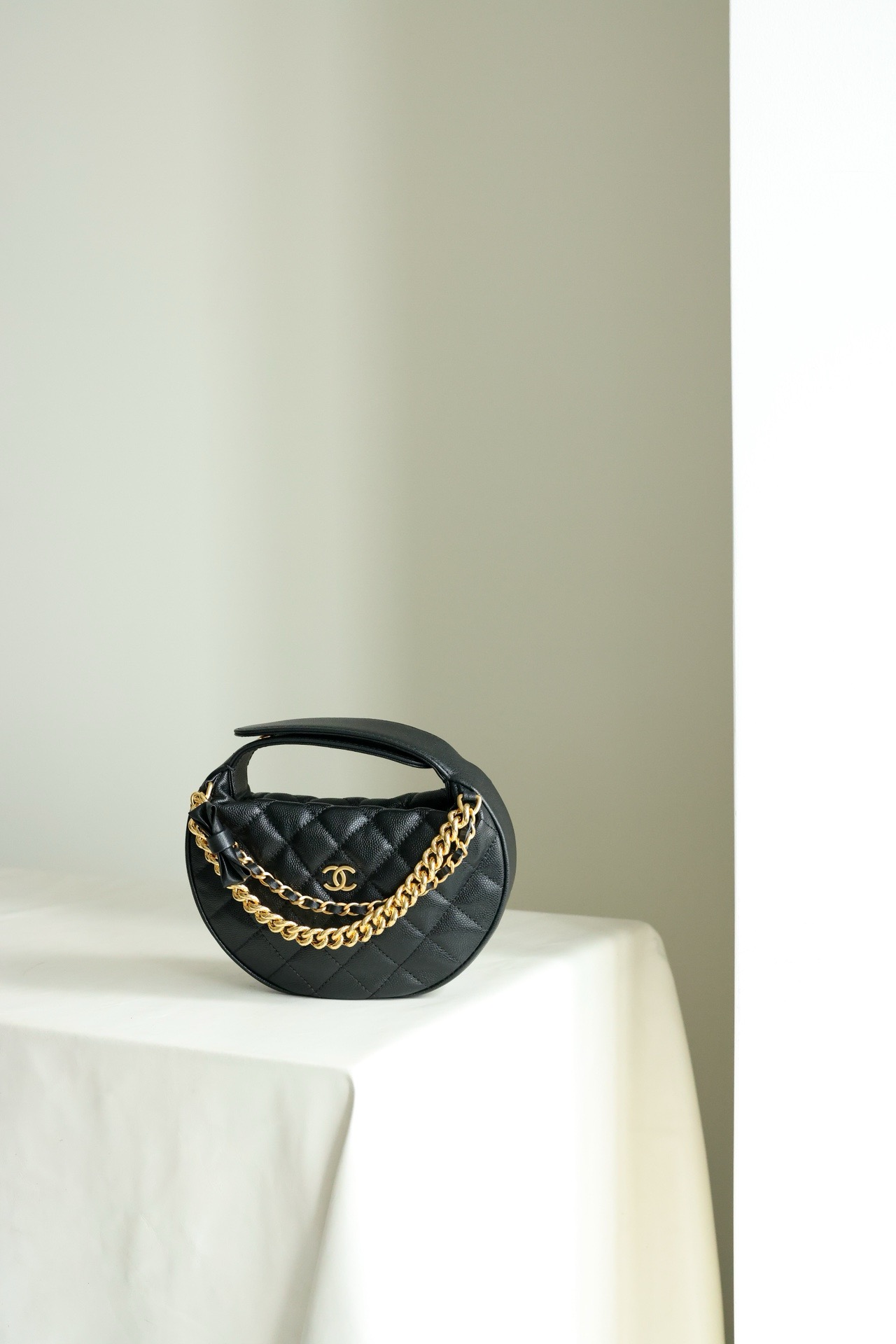 Chanel Camera Bag