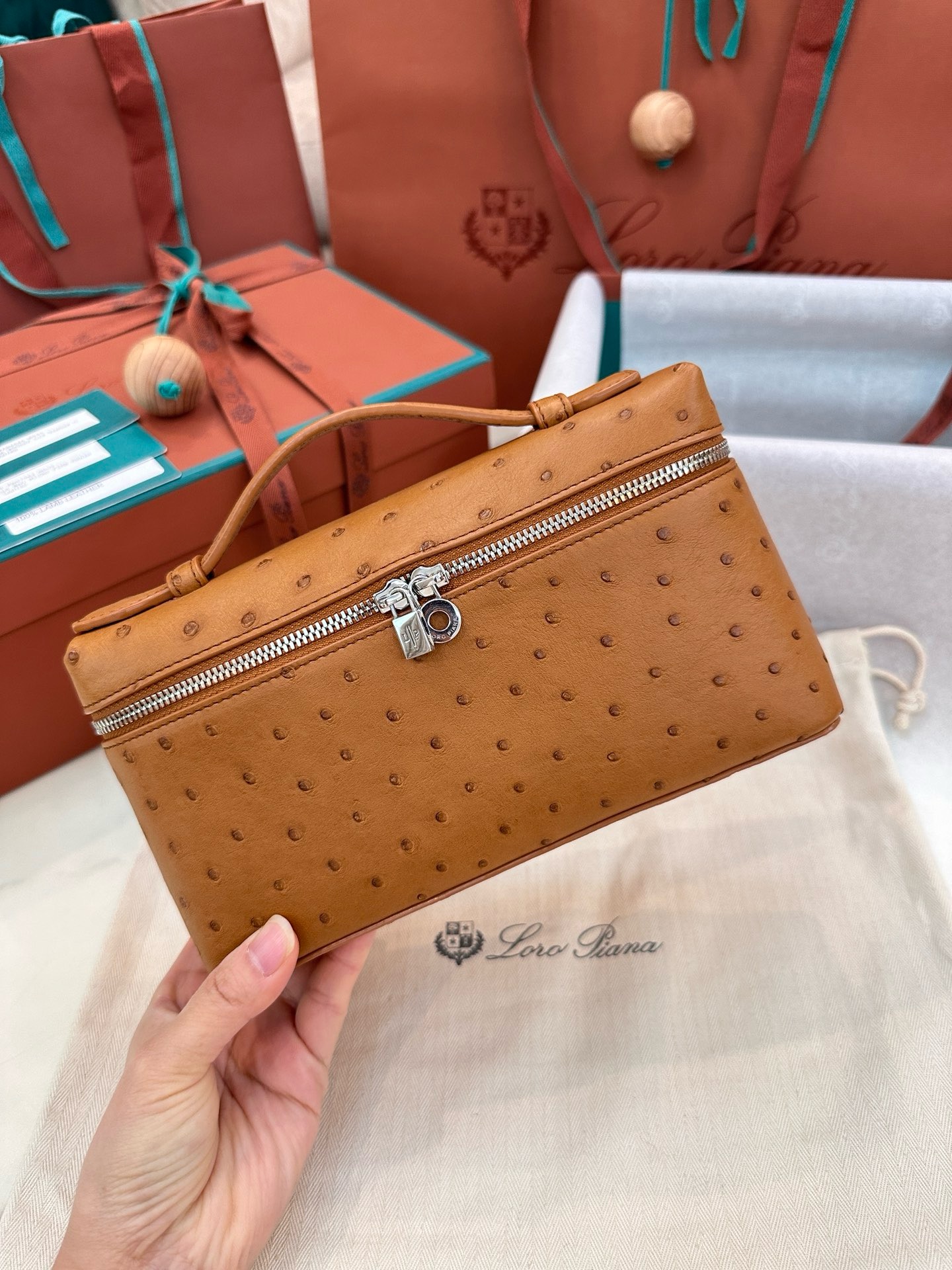 Loro Piana Extra Pocket L19 Pouch Ostrich