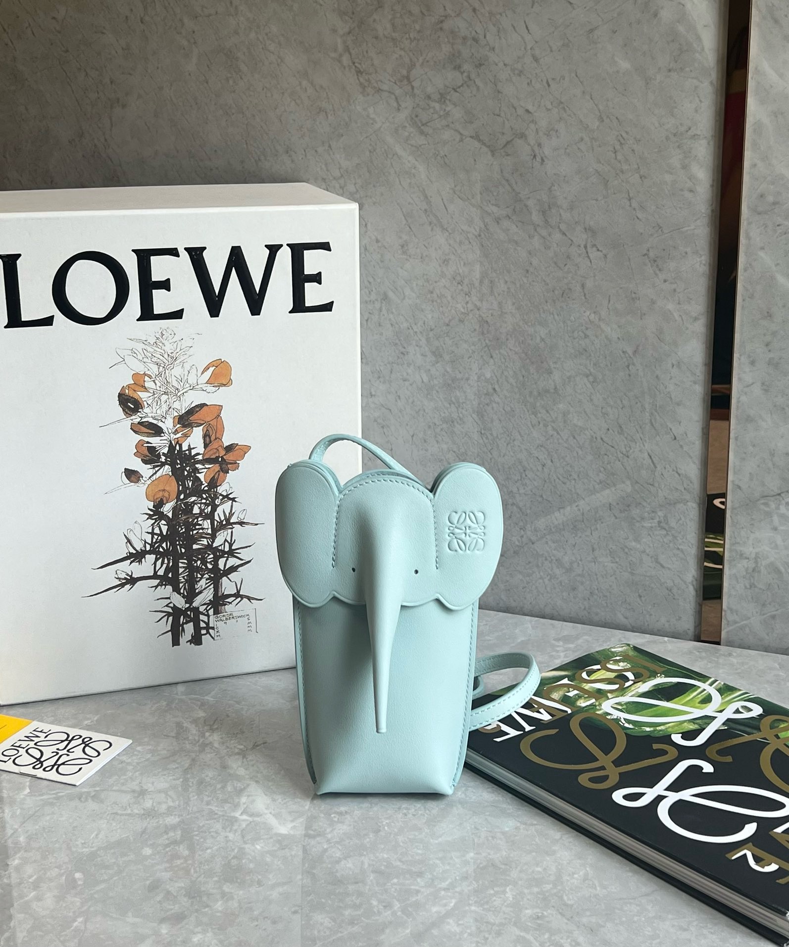 Loewe Anagram Pocket Bag
