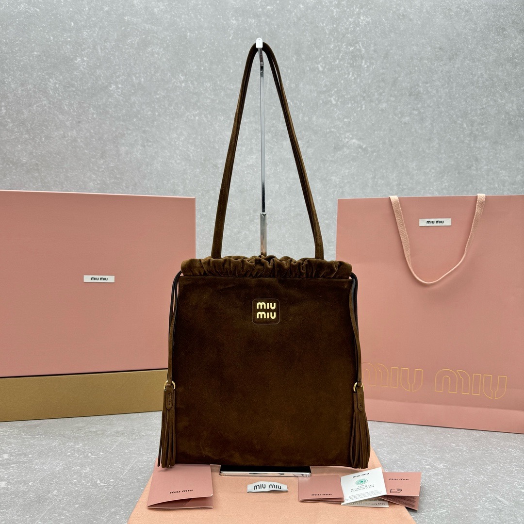LV Loop Handbag