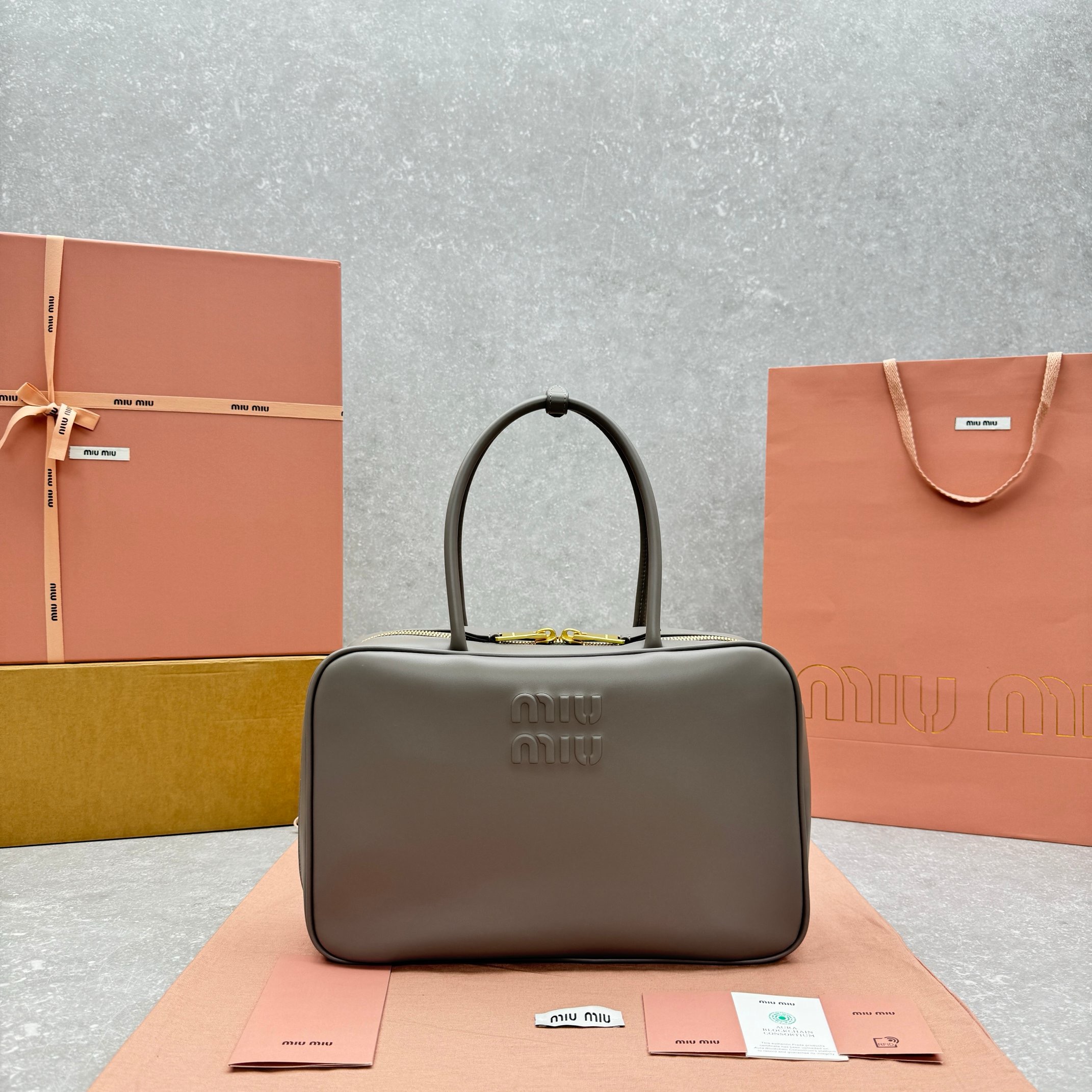 Miu Miu Leather Micro Bag