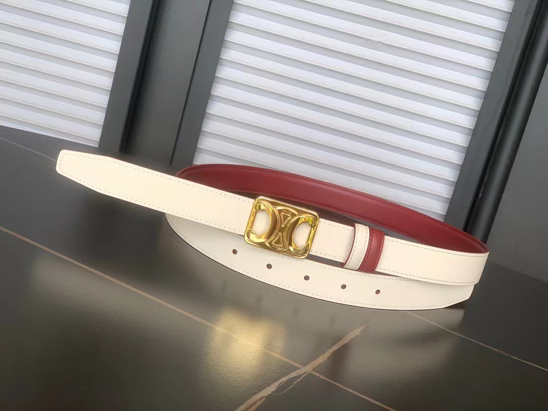 Celine Medium Reversible Framed Triomphe Belt