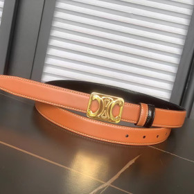 Celine Medium Reversible Framed Triomphe Belt