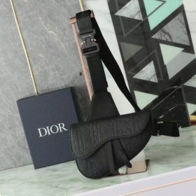 Dior Saddle Bag Dior Saddle Bag