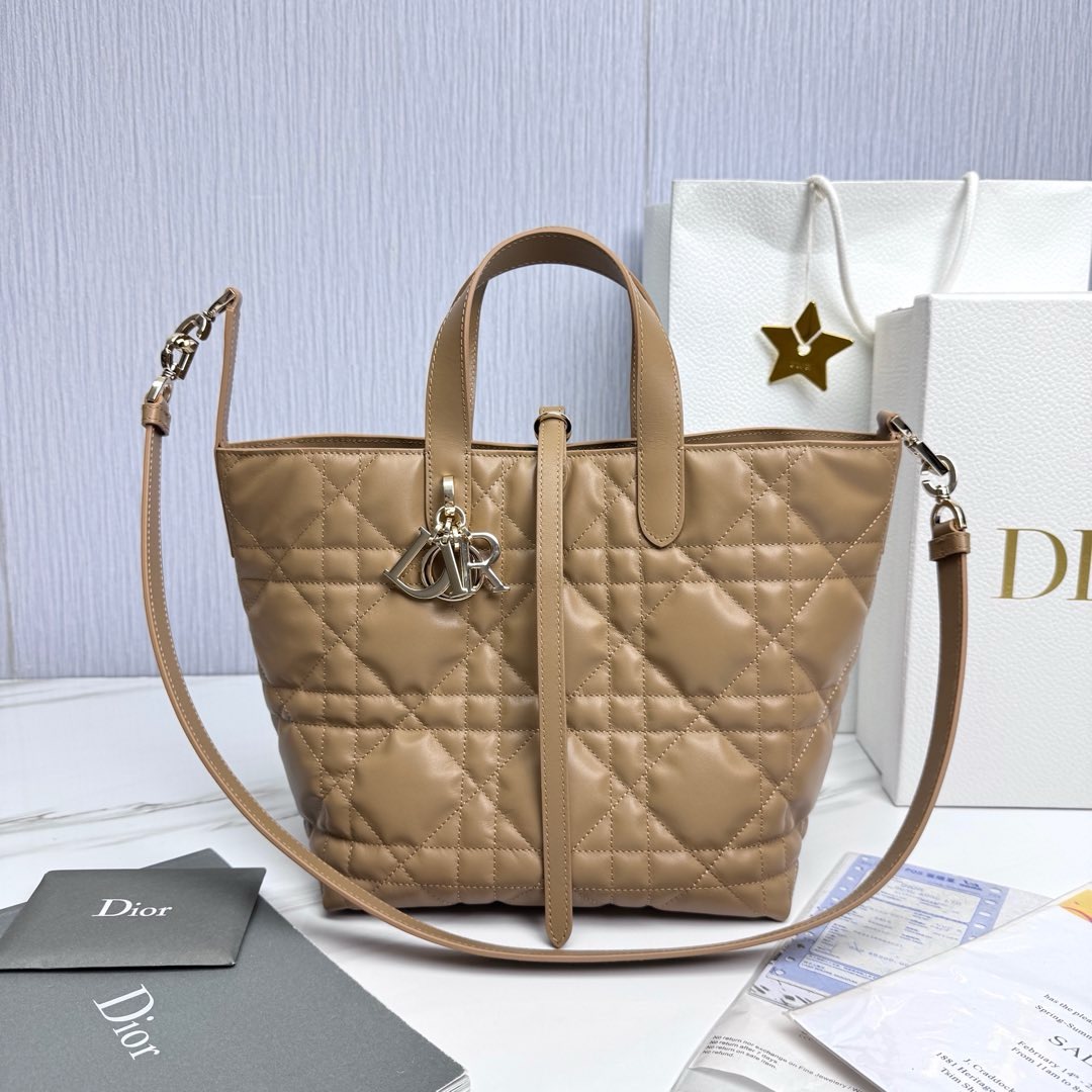Dior Medium Toujours Bag
