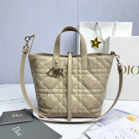 Dior Medium Toujours Bag