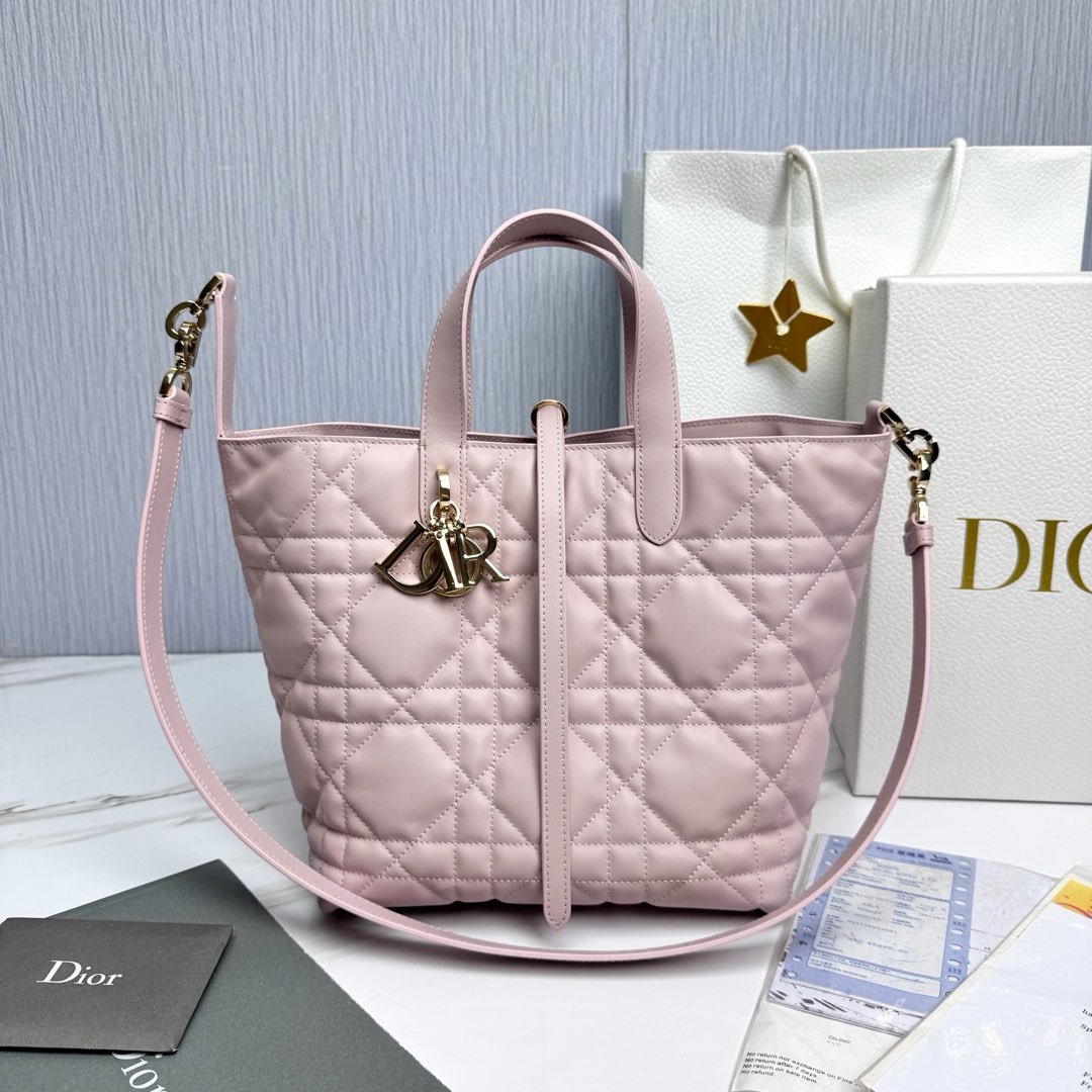 Dior Medium Toujours Bag