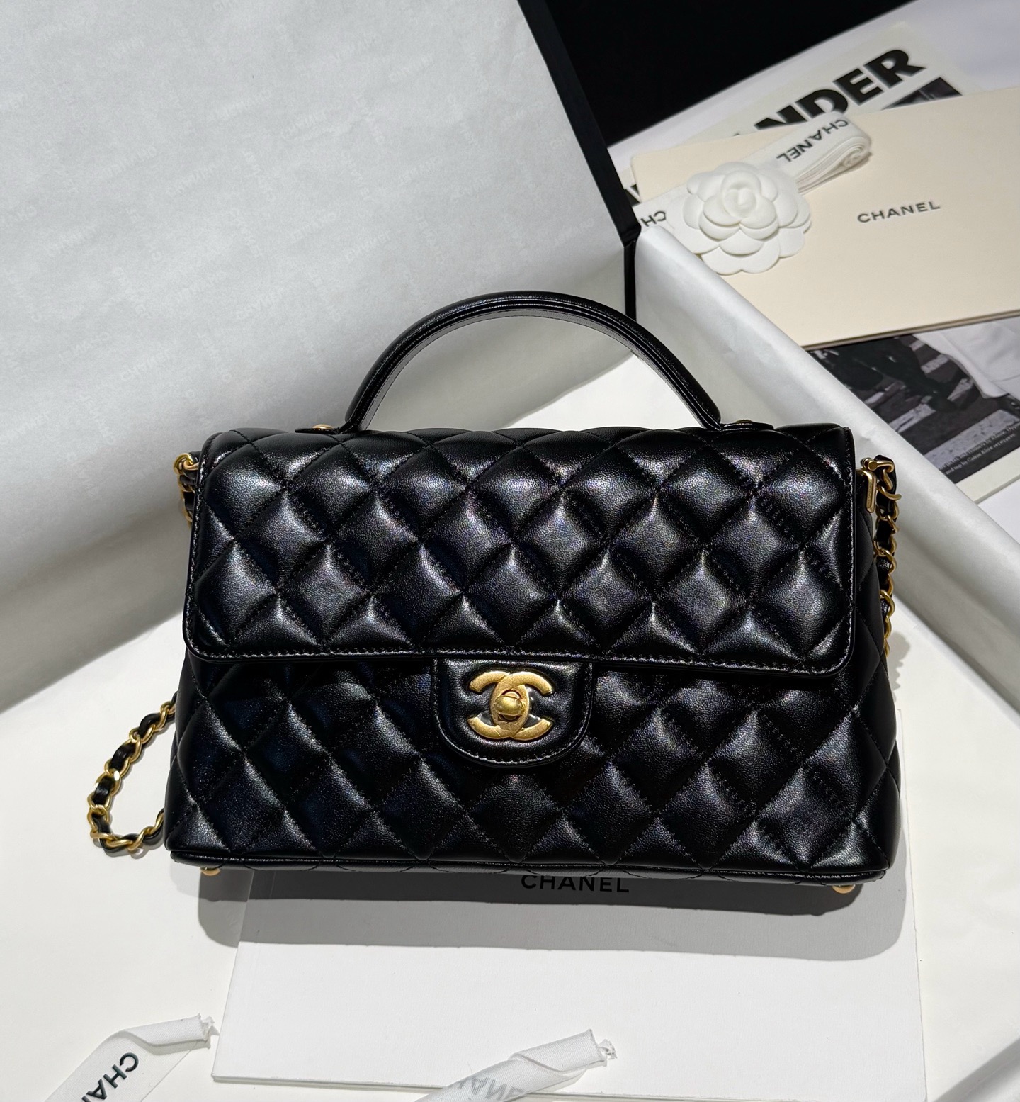 LV All In BB