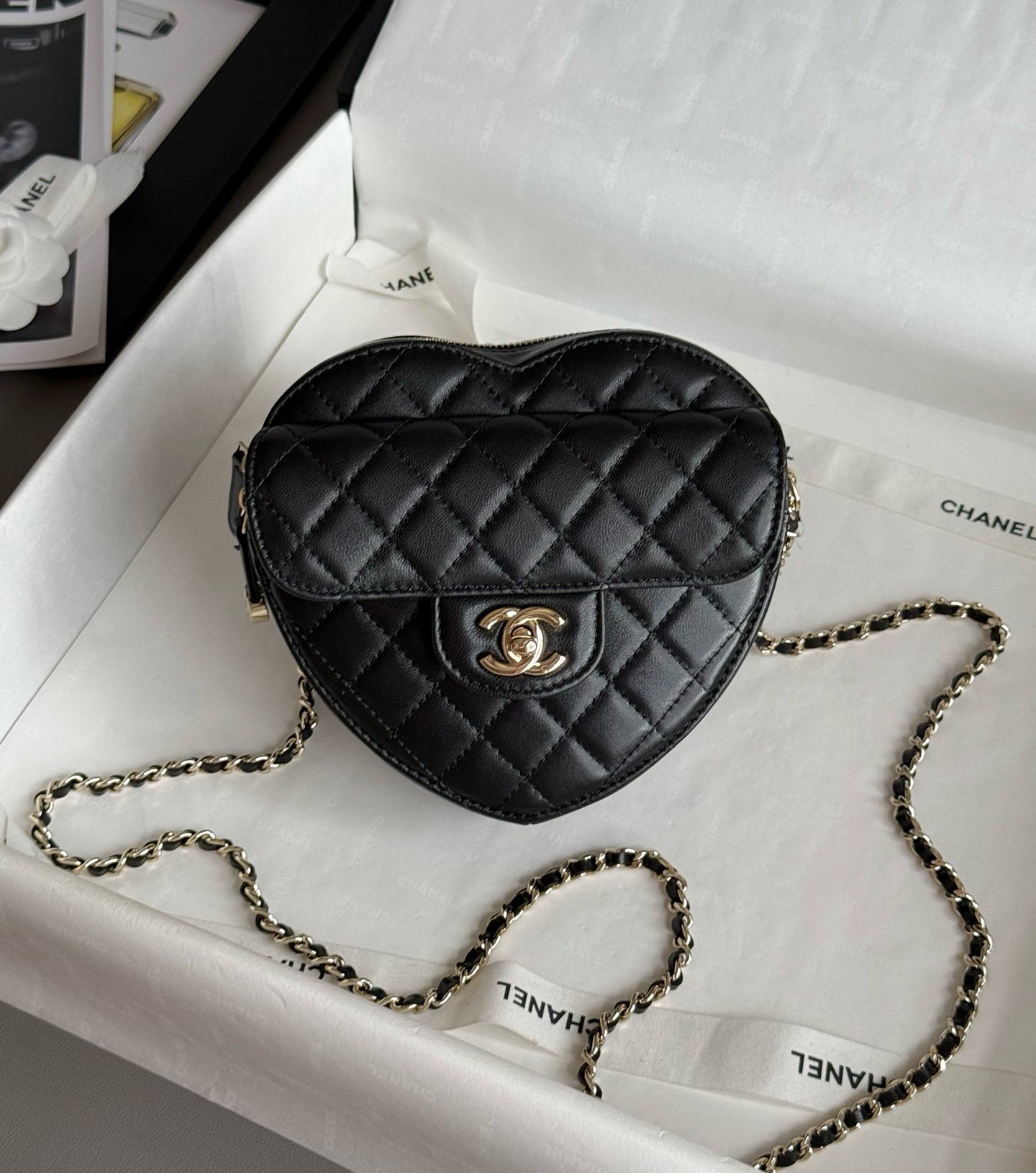 LV Express MM Bag