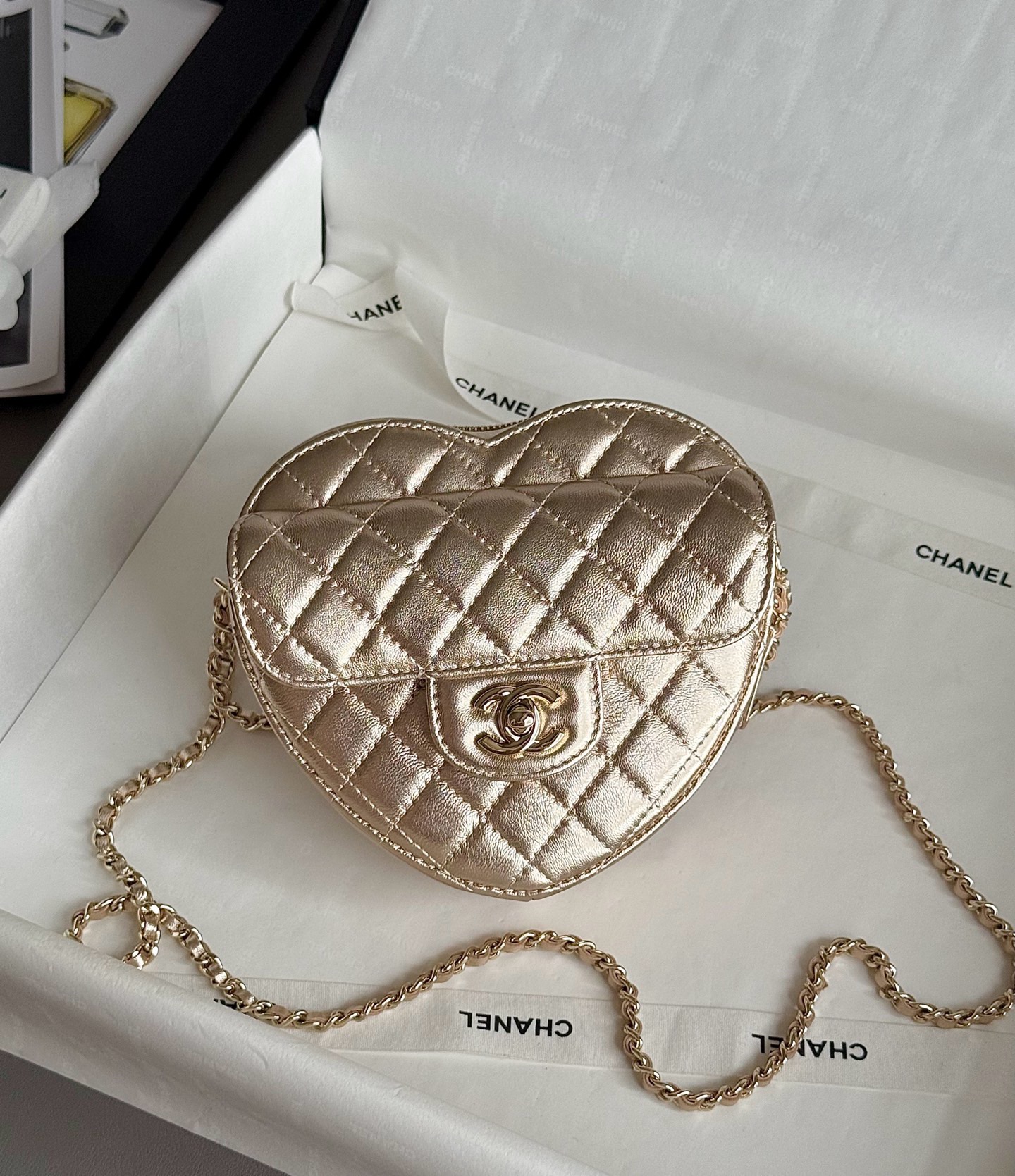 LV Express MM Bag