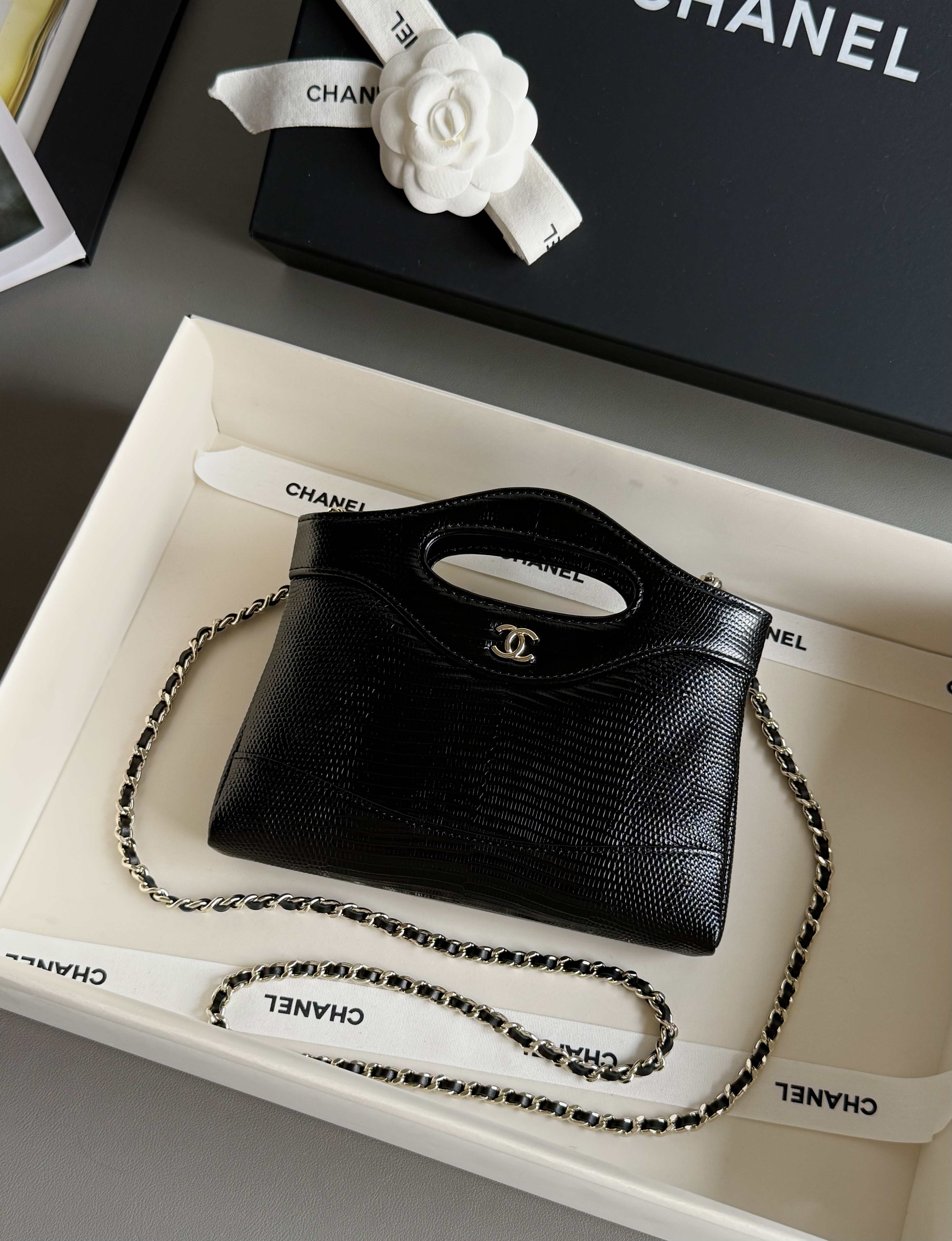 Chanel 25 Mini Handbag