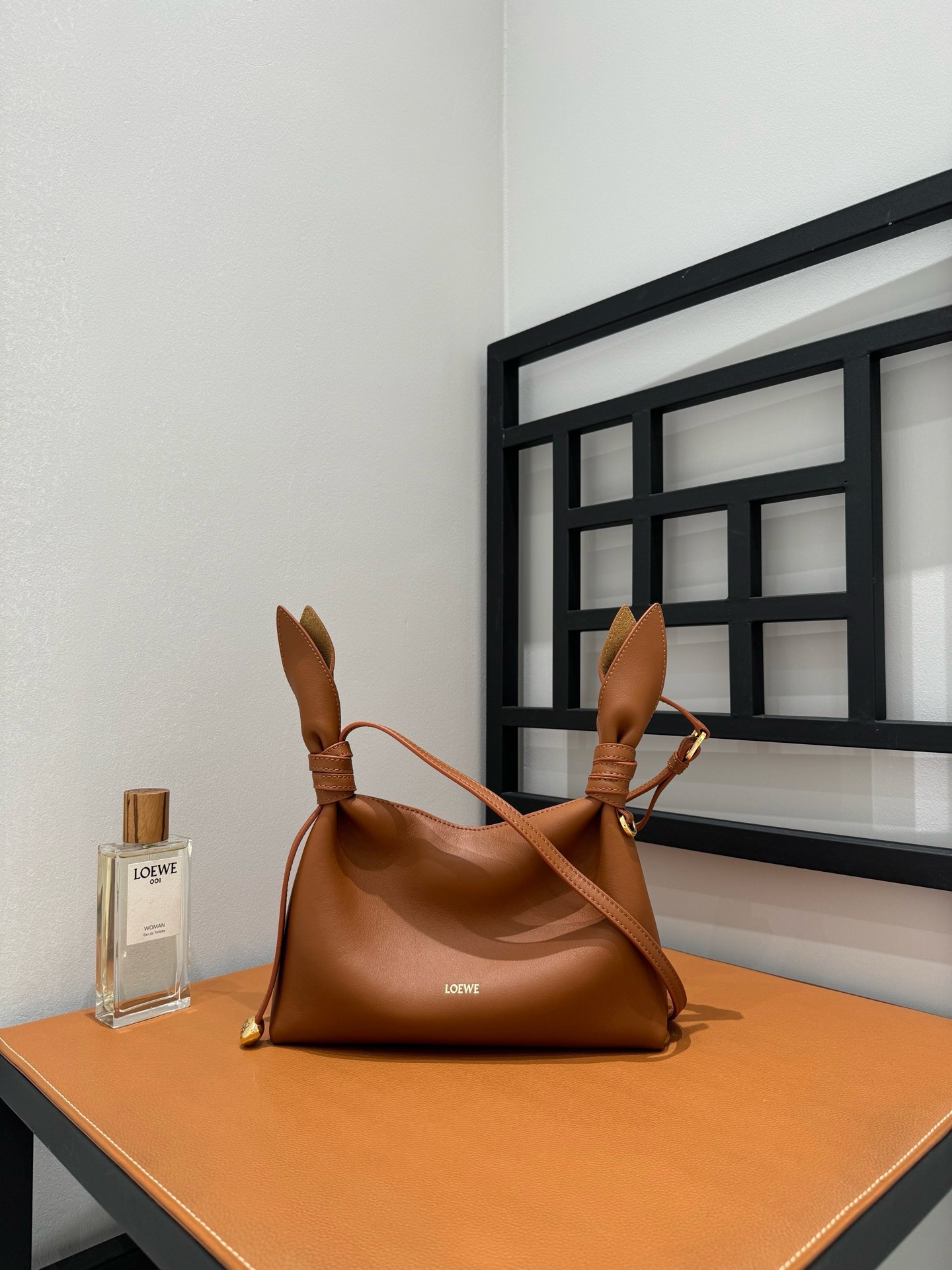Dior Medium Diorly Bag