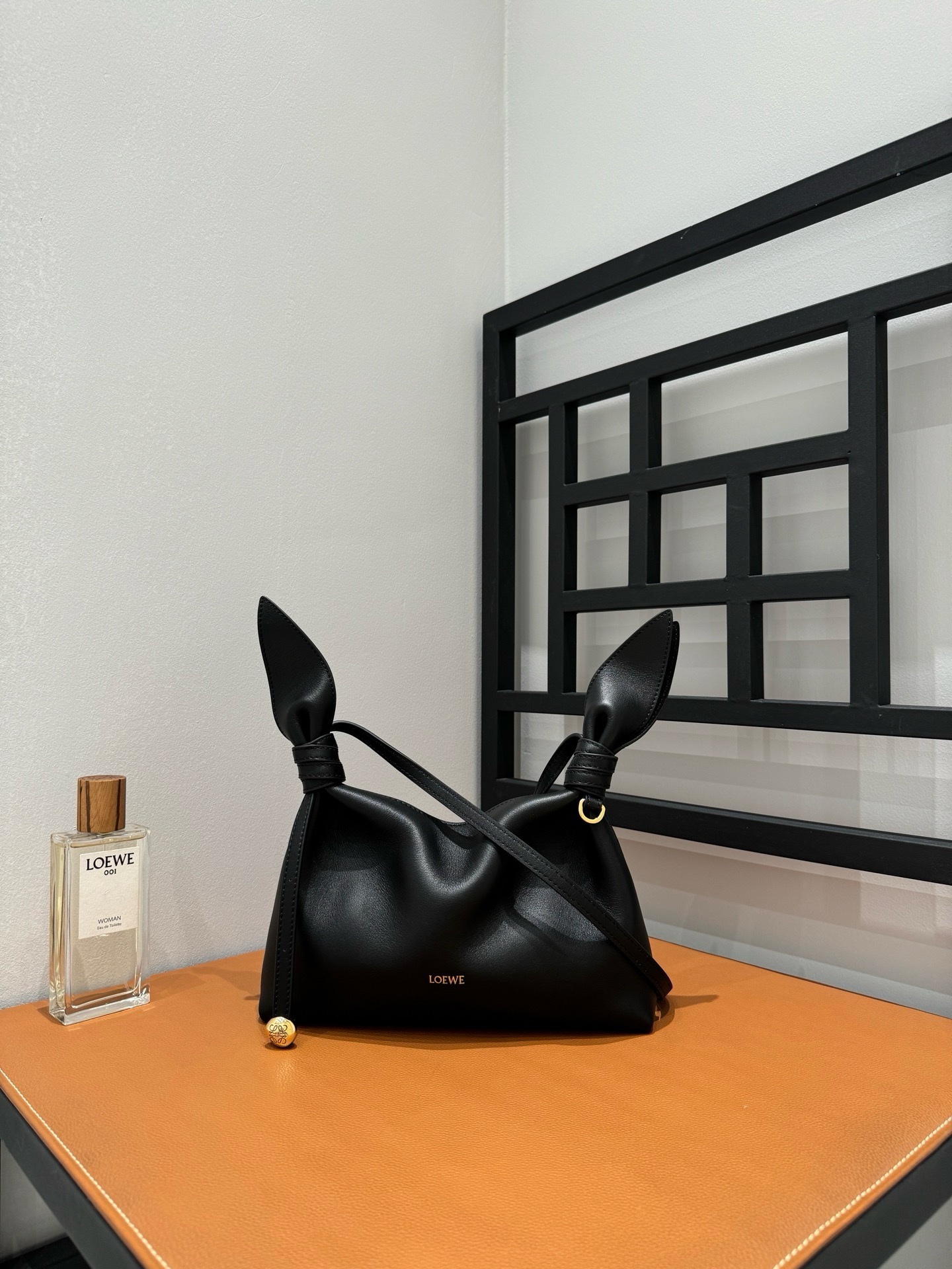 Dior Medium Diorly Bag